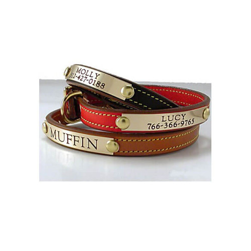 Tiny Dog Collar - 1 Nameplate