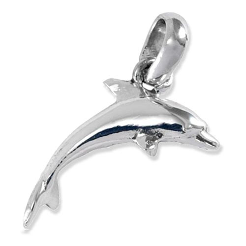 Dolphin Charm