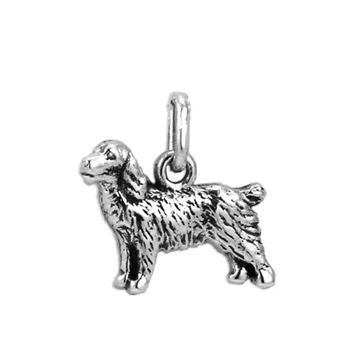 Field Spaniel Medium Charm
