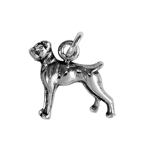 Boxer Small Charm - Flop Ear