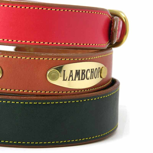 Plain Bridle Leather Dog Collar