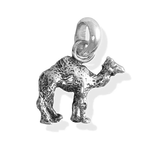 Camel Charm