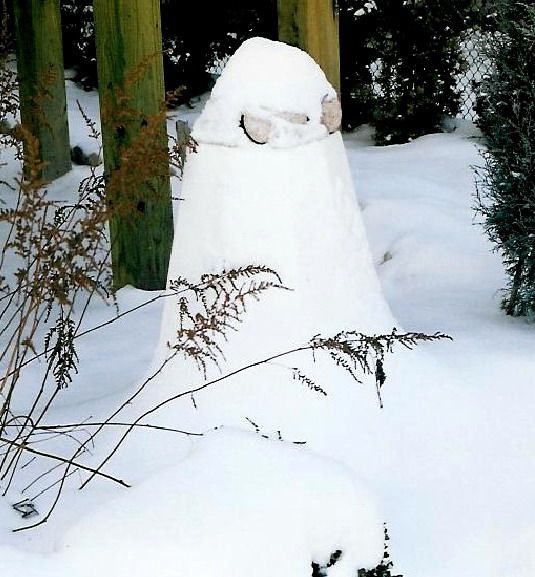 hydrangea-snowcone-for-winter-protection-compressor.jpg