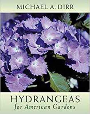 hydrangeas-of-american-gardens-compressor-1-1.jpg