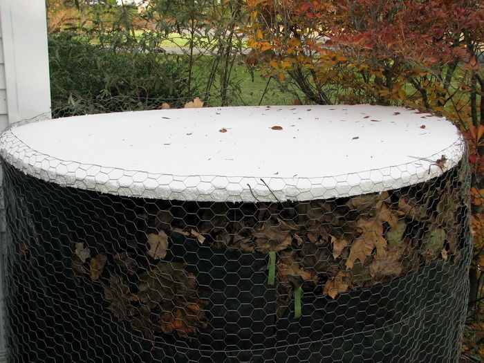 protecting-hydrangeas-with-an-insulated-cage-compressor.jpg