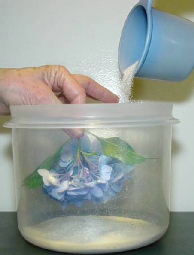 step-4b-drying-hydrangeas-compressor.jpg