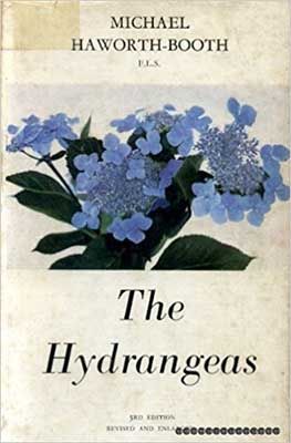 the-hydrangeas-by-micheal-haworth-booth-compressor-1-1.jpg