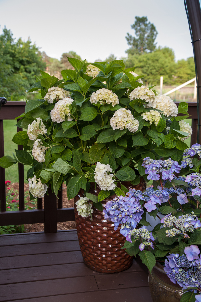 White Small Plant Pot Size M Set of 3 Ceramic Flower Planter for