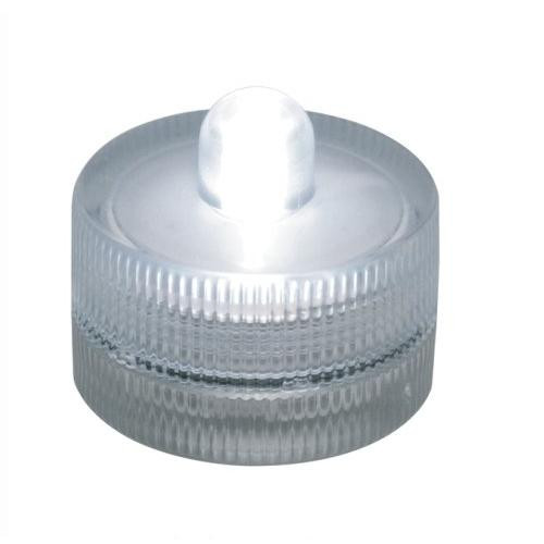Box of 10 Acolyte Submersible Floralyte White