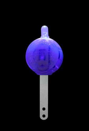 C-Lyte Uni Blue Mini LED Light - Pack of 12