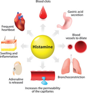 Oral Antihistamines