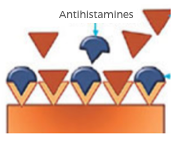 Oral Antihistamines