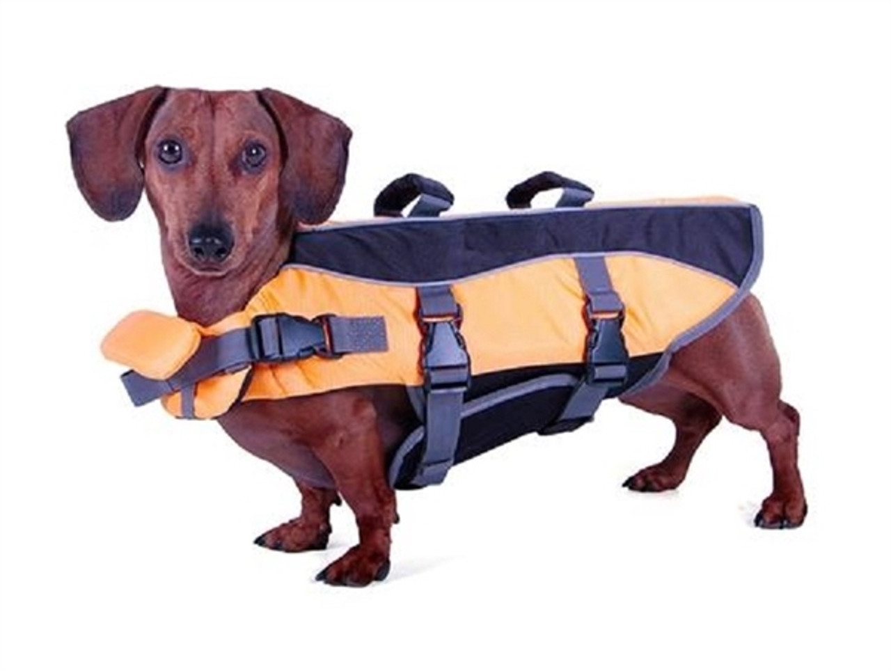Dachshund Wiener Dog Life Jacket , Life Vest, Life Preserver