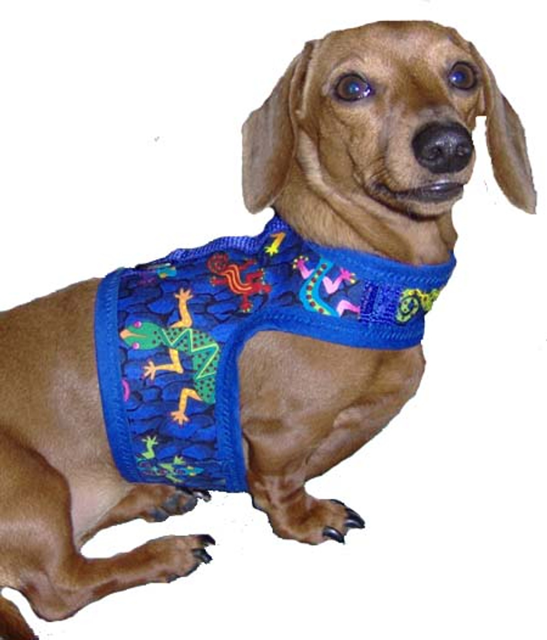 doxie harness