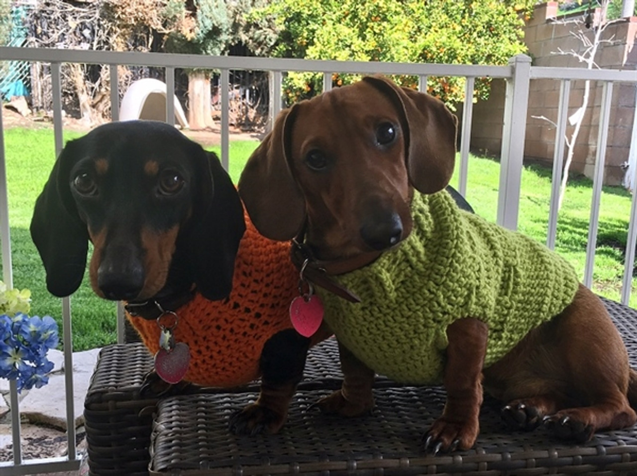 Dachshund Sweater, Custom Wiener Dog Sweater