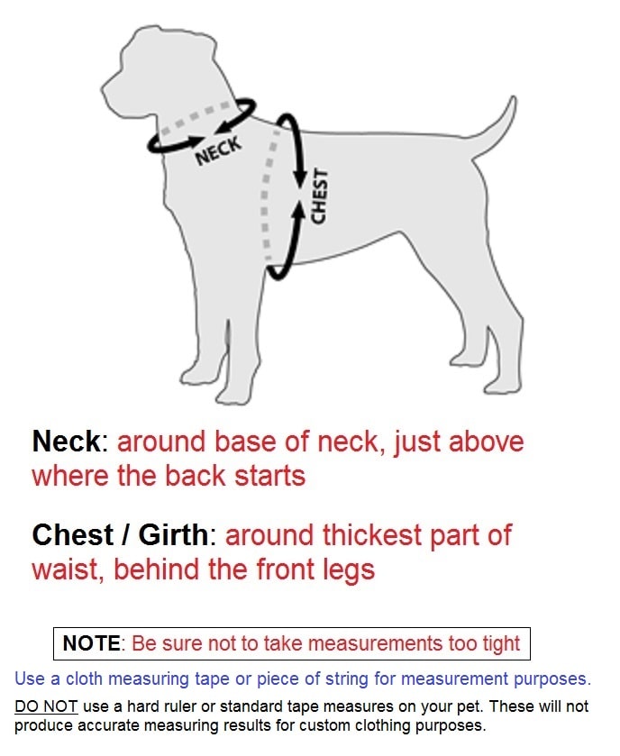how to measure your dachshund