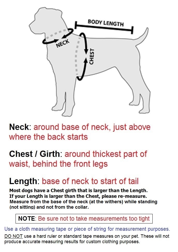 how to measure your dachshund