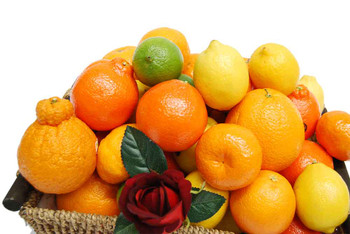 Get Well Hamper - Citrus Fruits Get Well Hamper - Citrus Fruits