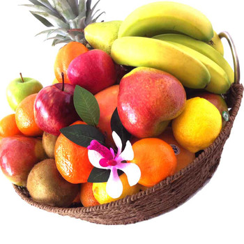 Fruit Basket Fruit Basket