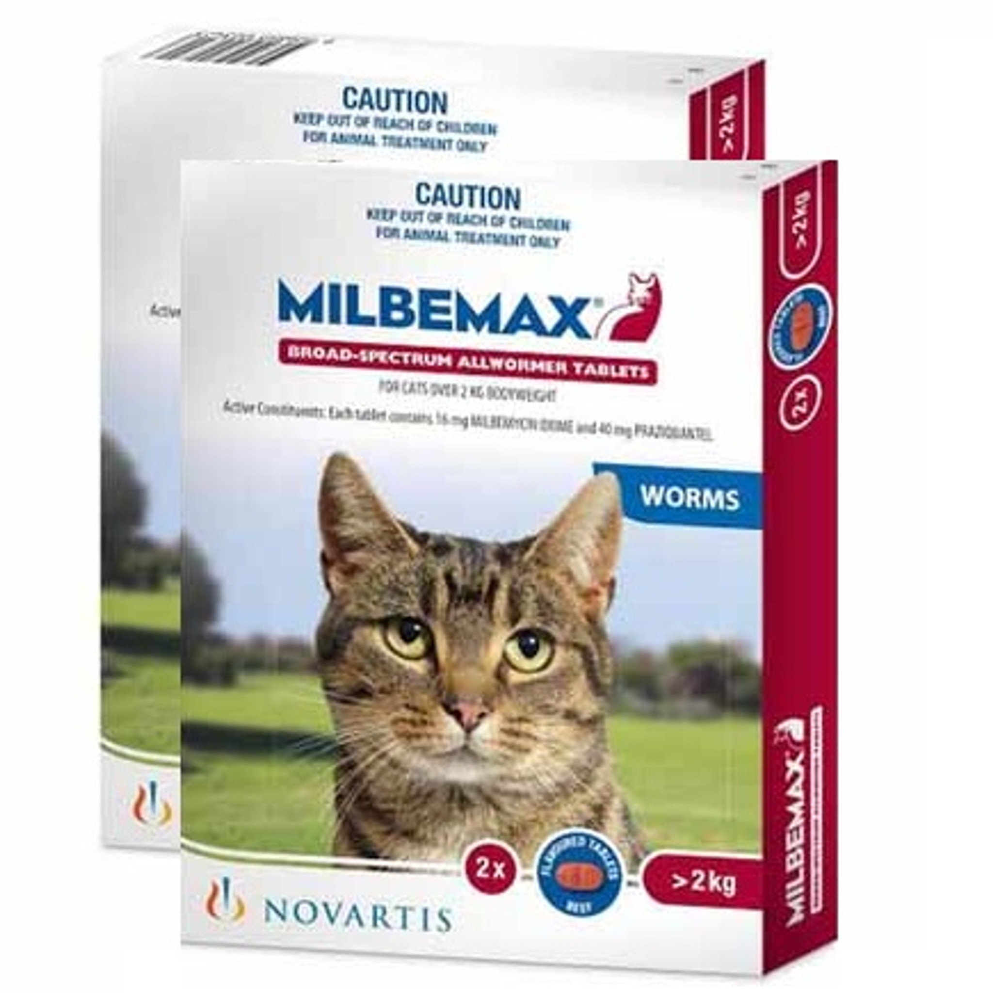 Stronghold For Dogs Dose For Cats Stronghold For Dogs Dose For Cats