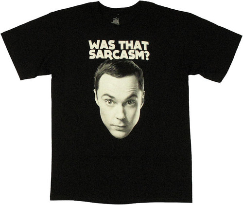 Sheldon Cooper stares down the sardonic on this new design: Big Bang ...