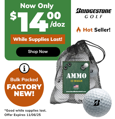FLASH SALE ⚡ Bridgestone e6 Golf Balls NOW ONLY $12/doz! Shop Now!