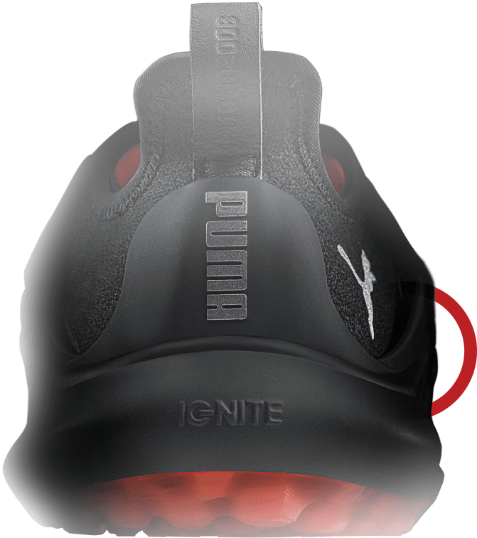 Ignite