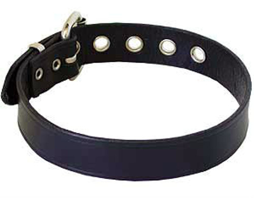 Buckle Armband/Collar 25mm