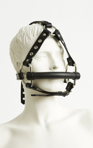 Horse Bit Gag 2