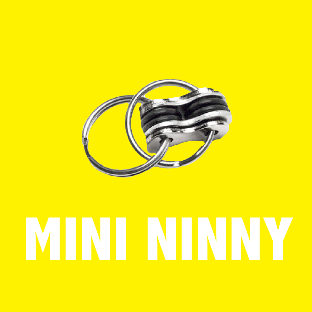 mini-ninny-with-box.png