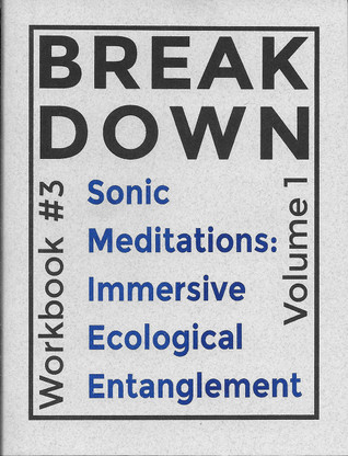 Break Down Workbook #3—Sonic Meditations: Immersive Ecological Entanglement