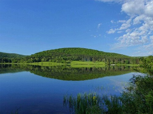 New York Parks