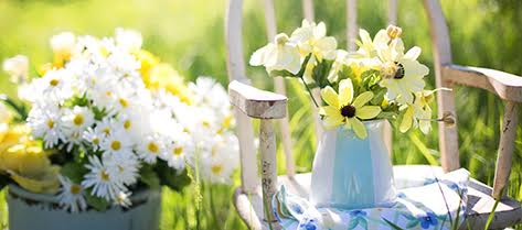 home & garden