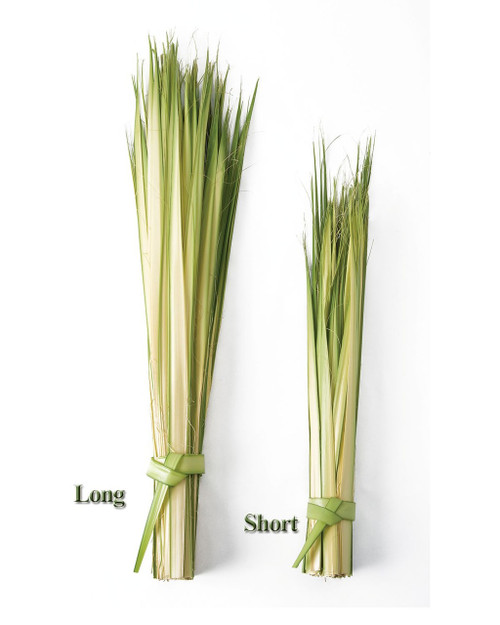 Palm Sunday Palm Strips - Long 24-36", BAG/100 Palm Sunday Palm Strips - Long 24-36", BAG/100