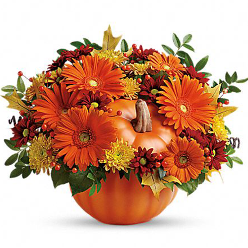 Country Pumpkin Country Pumpkin