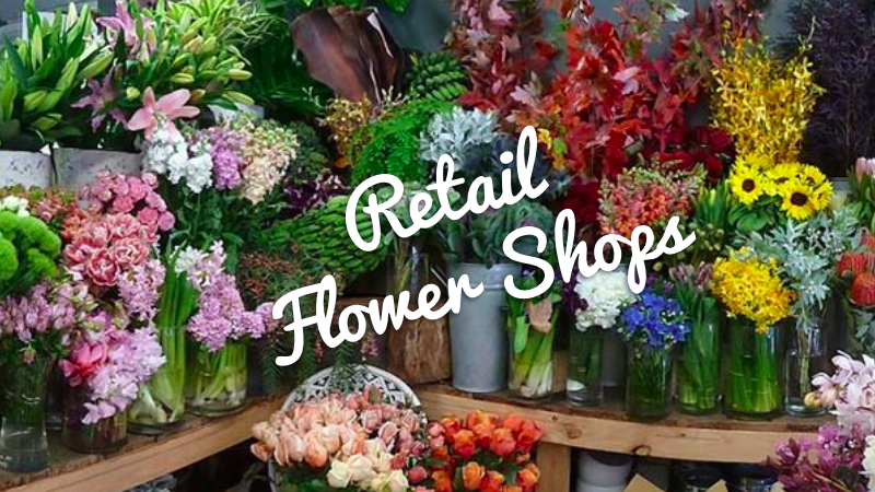 wholesale floral supplies