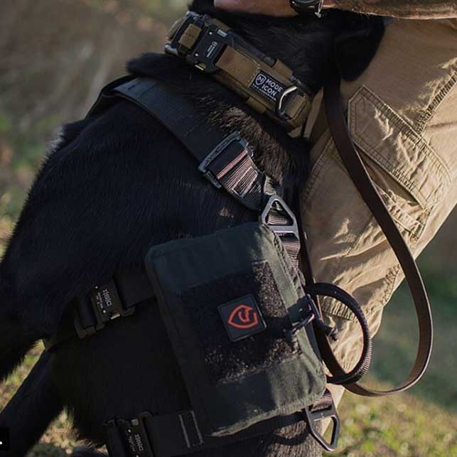 Dark Angel Medical Tactical IFAK and Trauma Kits Every Day Carry Med Kits