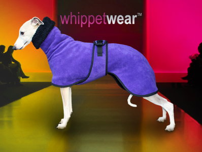 bellissimo whippet coats coat leave