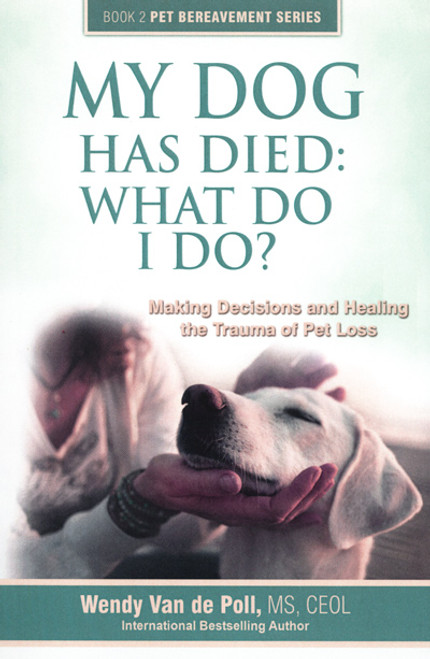 my dog has died what do i do making decisions and healing the