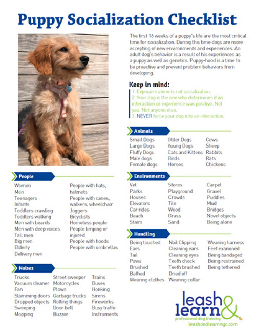 puppy socialization checklist 100 sheet handout dogwise