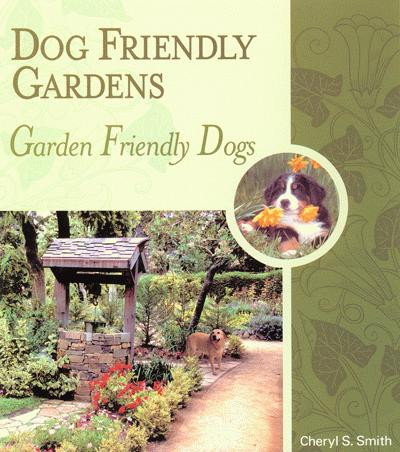 dog friendly gardens garden friendly dogs dogwise