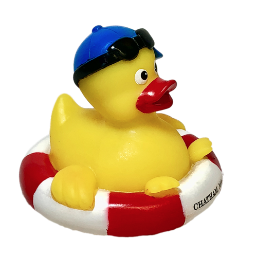 Life Ring Vacation Rubber Duck Ducks In The Window