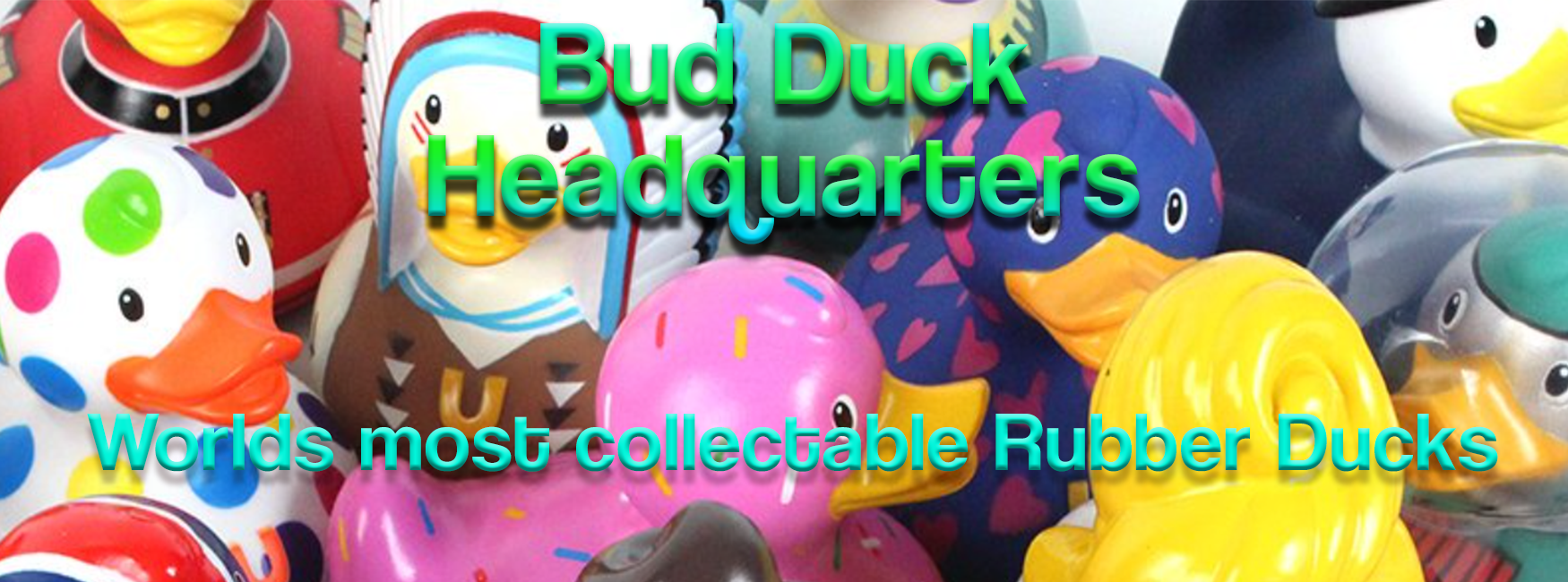 Ducks in the Window Worlds largest selection of Rubber Ducks