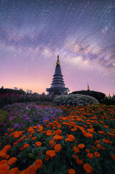 Laminated The Milky Way and Garden with Buddha Relics Photo Art Print Sign Poster 12x18 inch Laminated The Milky Way and Garden with Buddha Relics Photo Art Print Sign Poster 12x18 inch