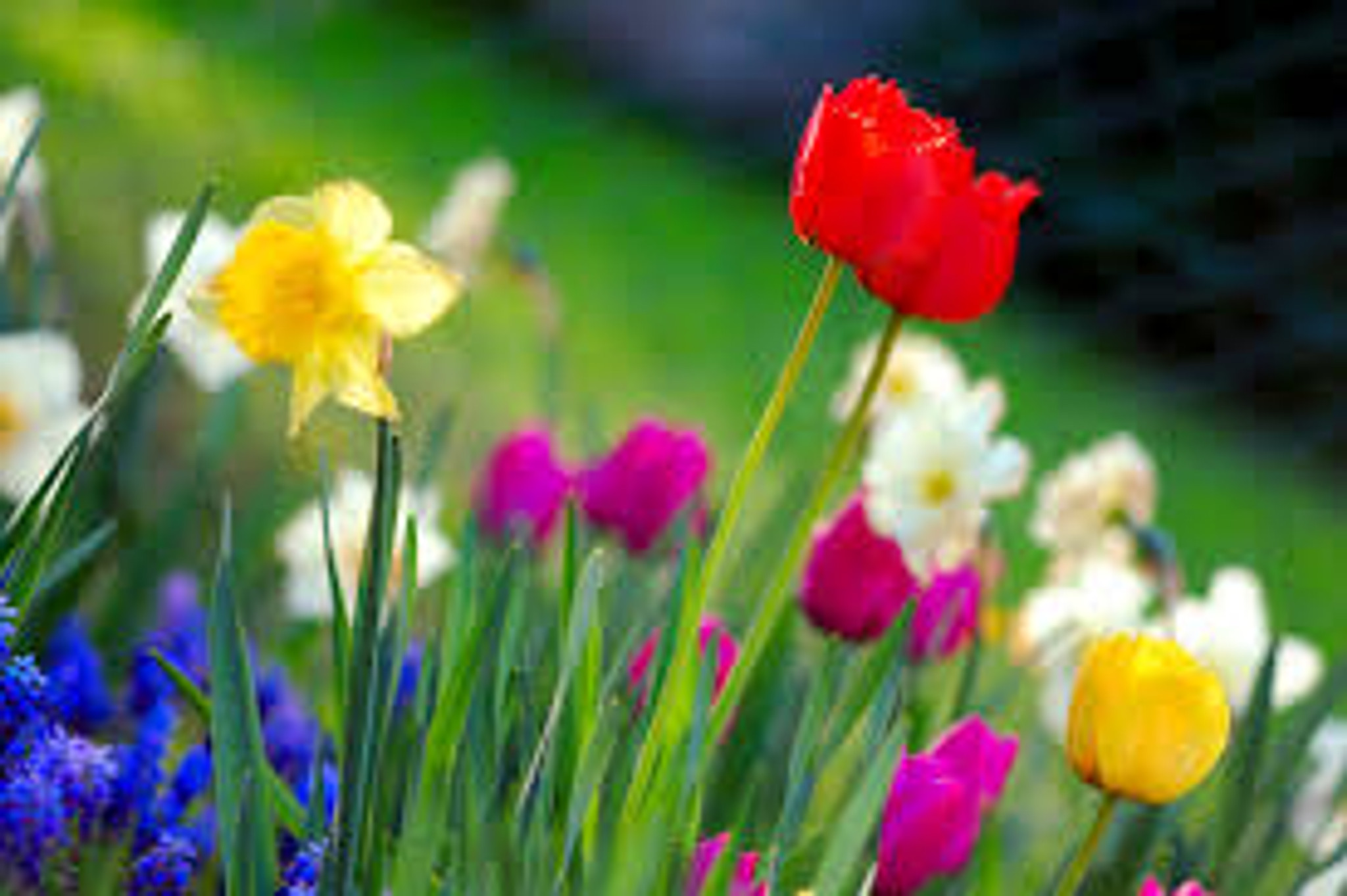 Spring is Finally Here!