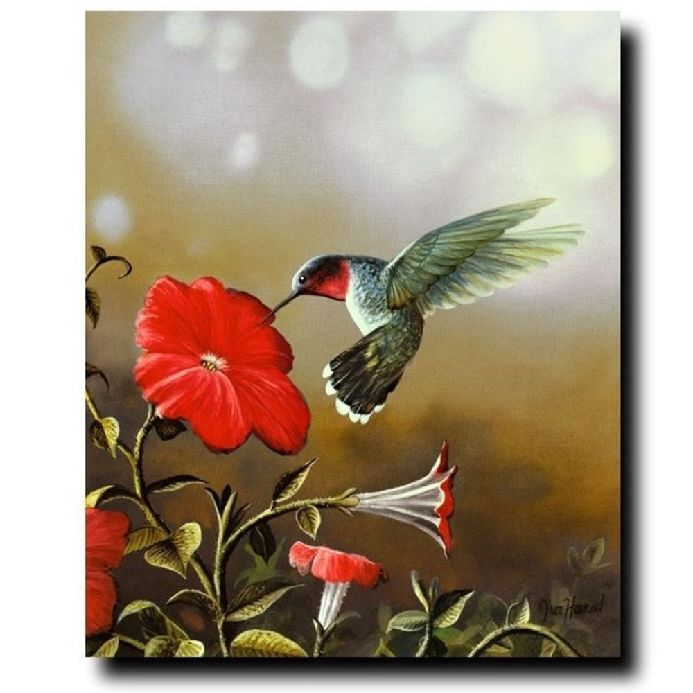 Jim Hansel Limited Edition Ruby Throated Hummingbird Print