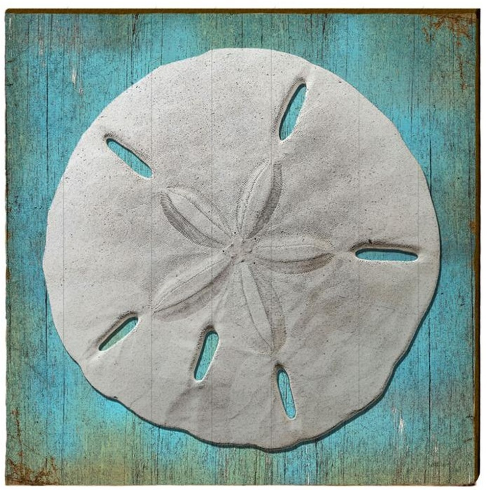sand dollar wood art 30x30 mill wood art