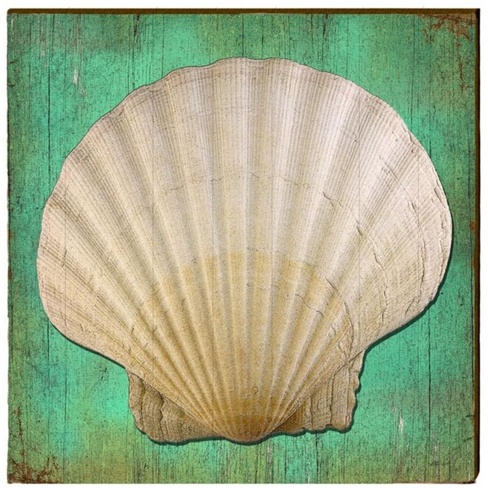 Sea Shell Wood Art | 30x30 | Mill Wood Art