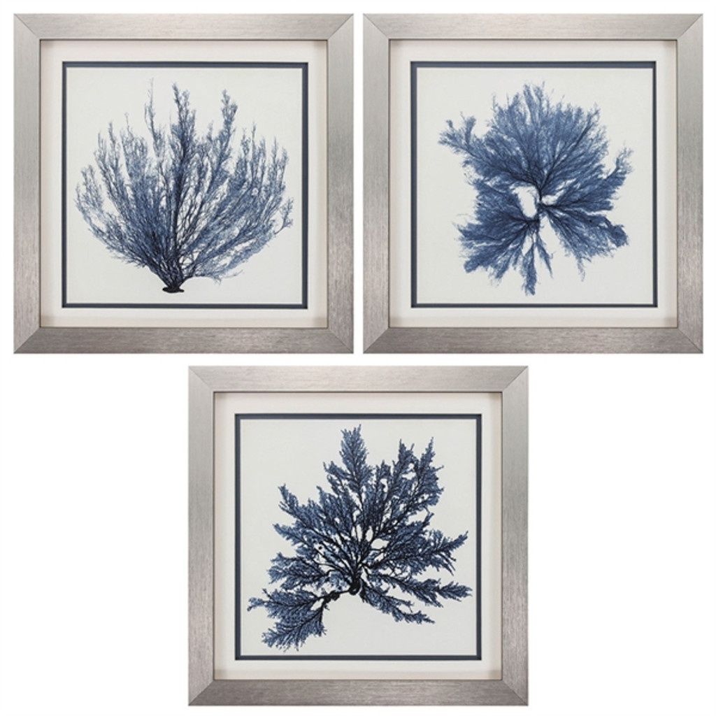 Silver Framed Coral Blue Art