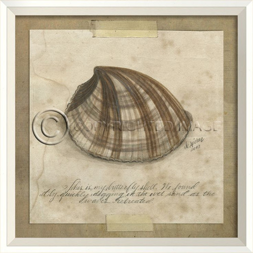 Butterfly Shell Collecting Framed Art